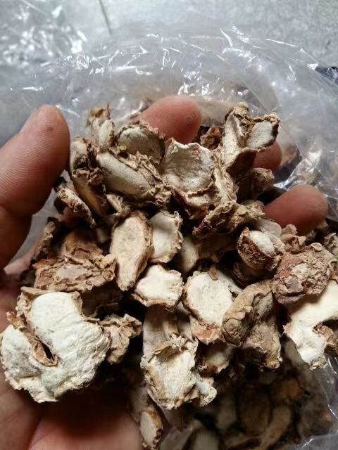 沙姜.jpg 沙姜.jpg