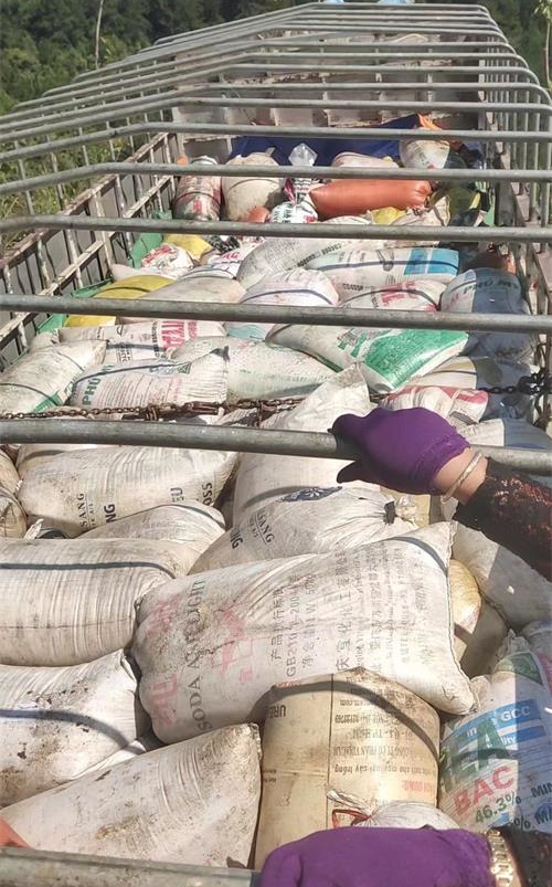 松脂.jpg 松脂.jpg